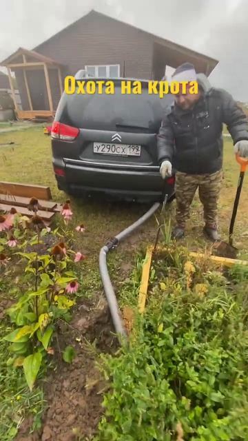 Охота на крота Новая нора #охота #охотанакрота #крот #помогитекротдостал #какработаеткрот #кротунич смотреть онлайн