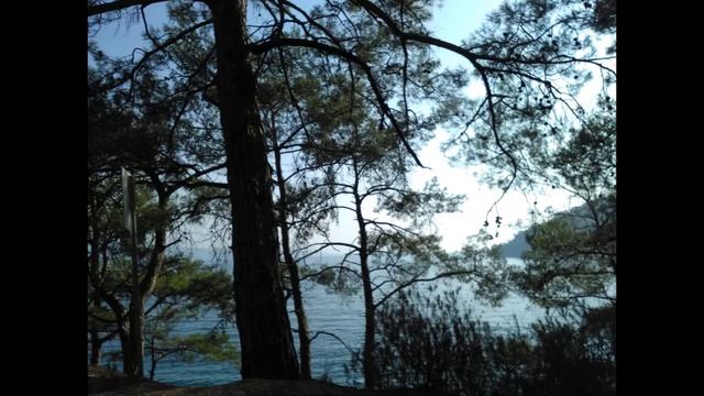 Muğla-Ula-Akyaka'dan,Milas-Ören'e kadar koylar-Kıyı ve tekneden-7 смотреть онлайн