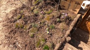 Жизнь в глухом лесу. Построил уютный дом. Советский шашлык рецепт