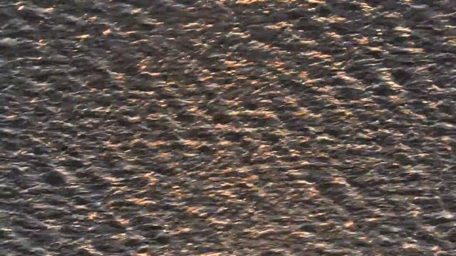 Tora Vinter & Lioness - Delian archives смотреть онлайн