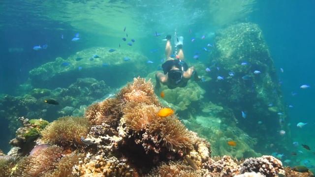 Koh Lipe Underwater 3
