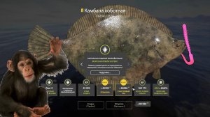 РР4 | Трофей на оснастку «обезьянка» | Квалификация МЛО 4-2