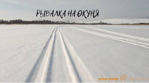 РЫБАЛКА НА ОКУНЯ В НАЧАЛЕ МАРТА