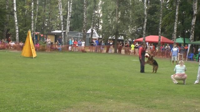 № 99. Лобовая Quatro v.d. Plassenburg 14 отлично,+++ смотреть онлайн