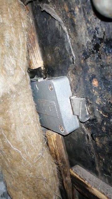 Змея на дверном замке!!! Хорошо, что всего лишь уж!