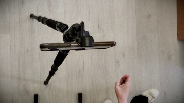 ПТИЦА СМОТРИТ ЗАПИСЬ