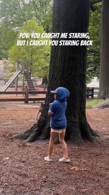 The chipmunk wins 😱🐿️ #familyhumor #kidhumor #nyc #centralpark смотреть онлайн