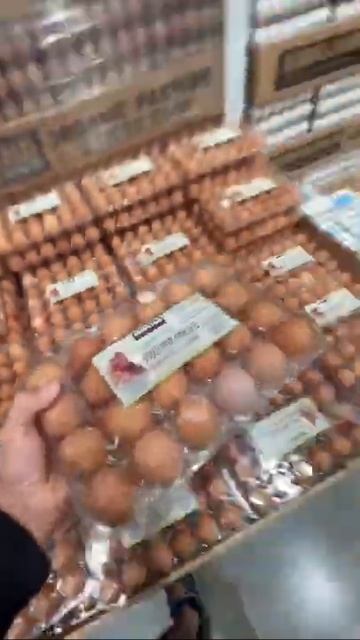 Affordable healthy dog meals from Costco! Hybrid kibble/raw for around $4 a meal! 🐕#... смотреть онлайн