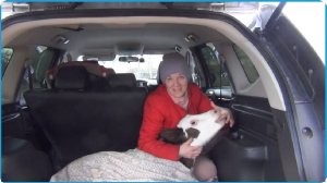 ПРОКАТИЛИ ТЕЛЁНКА НА ИНОМАРКЕ, УВЕЛИЧИВАЕМ ПОГОЛОВЬЕ, ЖИЗНЬ В ДЕРЕВНЕ