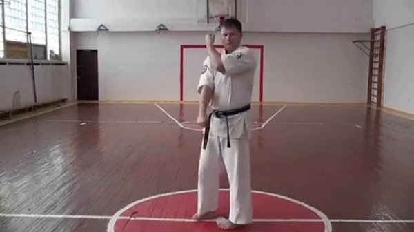 Техника аттестации кёкусинкай каратэ на 10-кю