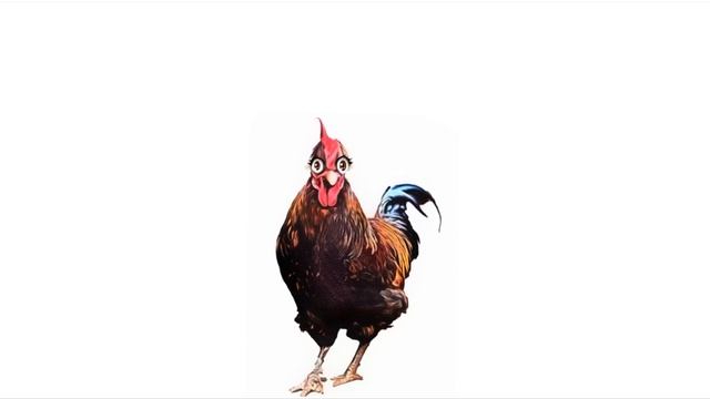 How A Rooster Crowing Sounds / Sound Effect / Animation смотреть онлайн
