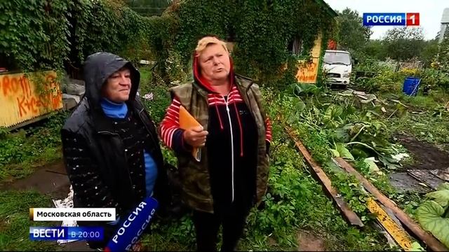 Вырастили тыкву весом более 400 кг. смотреть онлайн