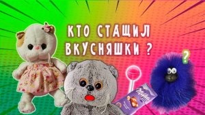 У БАСИКОВ УКРАЛИ ВКУСНЯШКИ / ДОМОВЕНОК И БАСИКИ