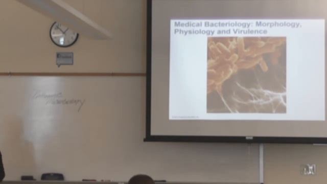 Santa Fe College: Pathogenic Microbiology Review смотреть онлайн