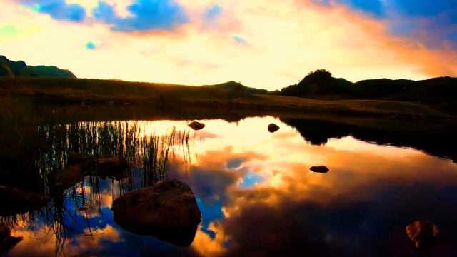 26. НАС НИКТО НЕ ПОРАБОЩАЛ. смотреть онлайн