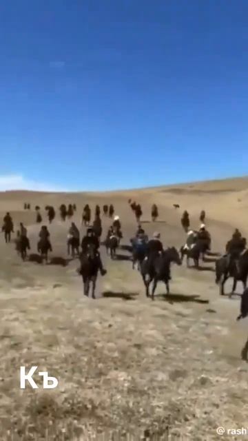 КАРАЧАЕВСКАЯ ПОРОДА ЛОШАДЕЙ КЪ ЗНАК КАЧЕСТВА #балкарцы #кчр #карачаевцы #horse #красота #лошади #ми смотреть онлайн