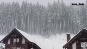 Сура 98 аль-Баййина | Чтец Омар Хишам аль Араби