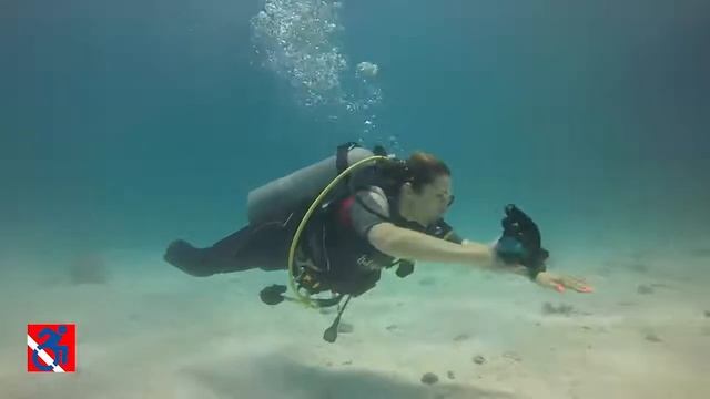 Елена Чинка 06 смотреть онлайн