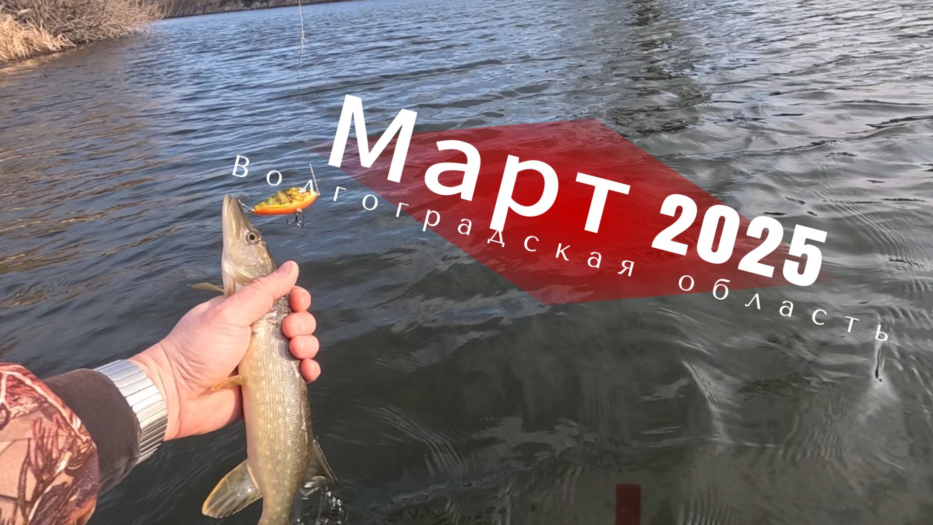 Март 2025. Волгоградская область.  Выходной, щука, ветер в лицо.