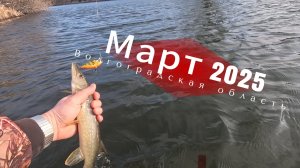 Март 2025. Волгоградская область.  Выходной, щука, ветер в лицо.