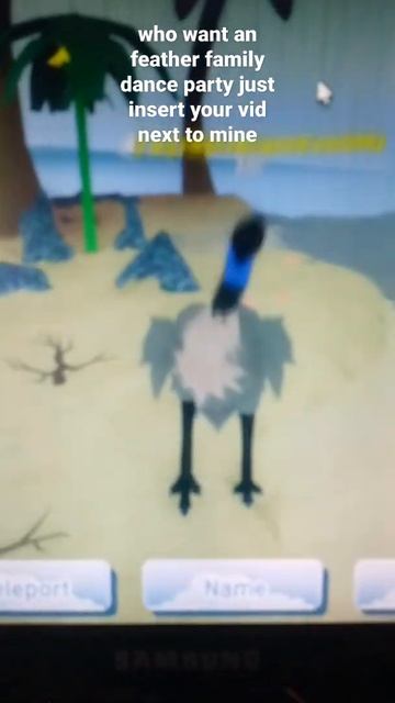 feather family dance party ( emu dance meme 3 )