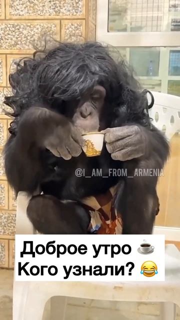 Доброе утро / одна чашка кофе с утра / Кого узнали? смотреть онлайн