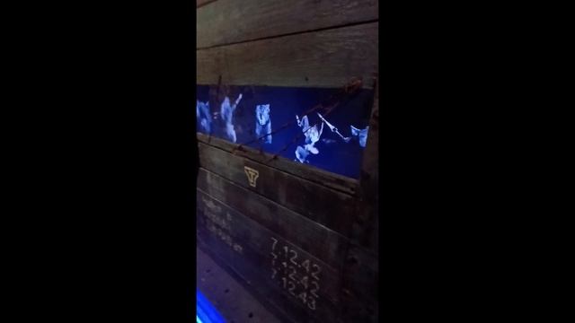 Поезд победы 2025 в Казани.mp4 смотреть онлайн