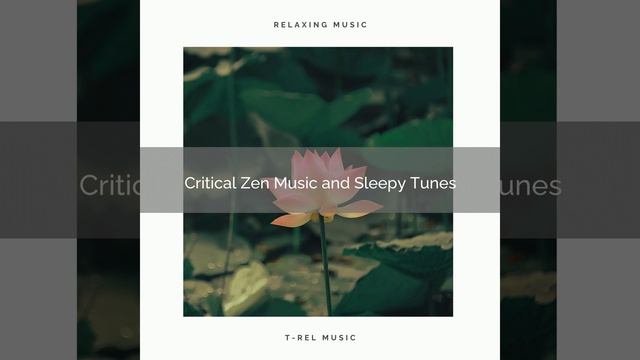 Soft Meditation White Noise for Perfect Relax смотреть онлайн