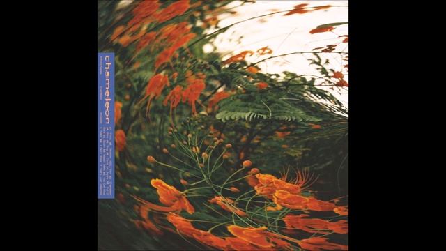 Anthony Naples - Chameleon [ANS4000] смотреть онлайн