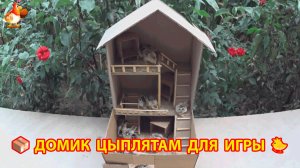 Домик для цыплят из картонной коробки смастерил птицевод для развлечения 📦🐥🐤
