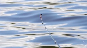 ПЕРВАЯ РЫБАЛКА НА ФИДЕР В АПРЕЛЕ 2025!Рыбалка ранней весной! плотва на фидер ранней весной