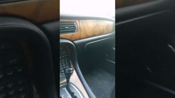 video5404496239209246996