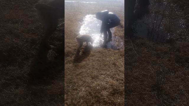 У систентки 24 марта др смотреть онлайн
