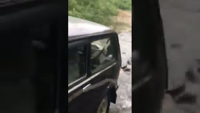 Нива может смотреть онлайн