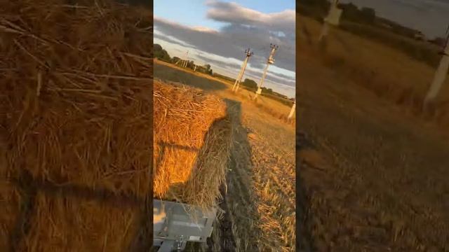 Мтз 132н #132 #минитрактор #выходные смотреть онлайн