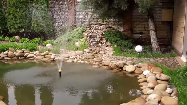 Озеро (Софиевская Борщаговка) после реставрации) с карпами кои) смотреть онлайн