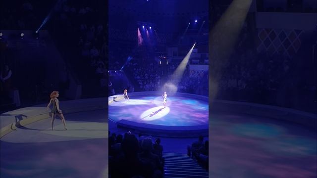 Цирковая новелла Удивительная история в Казанском цирке.pdf.mp4 смотреть онлайн