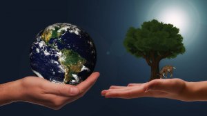 ГОЛОС ЗЕМЛИ ENIGMA - БОЖЕСТВЕННЫЙ ВОКАЛ  И ФЛЕЙТА УНЕСЁТ ВАС В ПОЛЁТ НАД ЗЕМЛЁЙ !!!