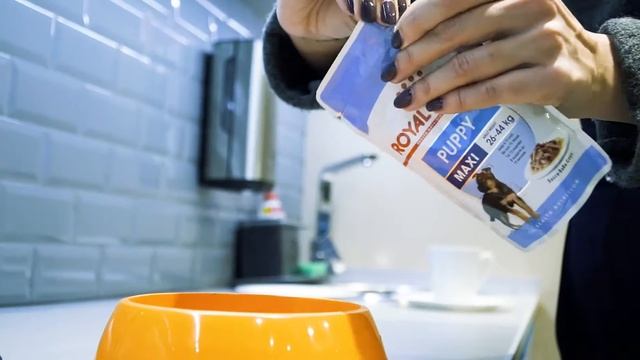 Royal Canin 07.12 смотреть онлайн