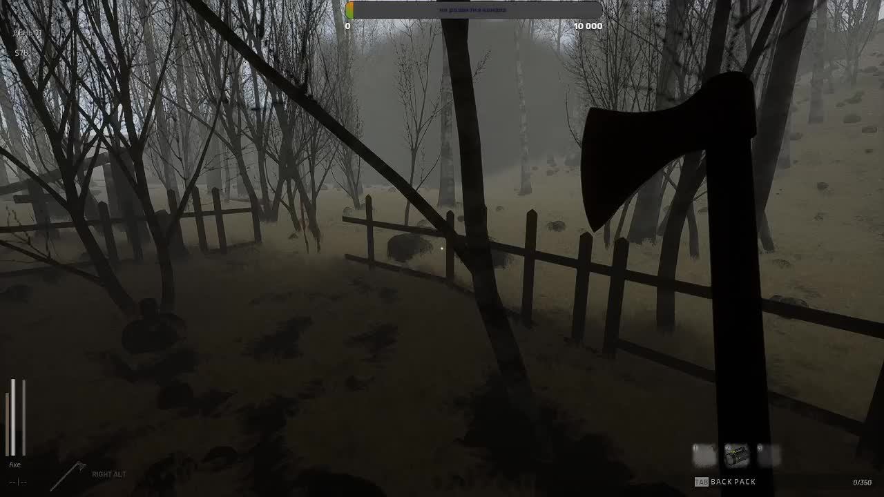 Descending The Woods