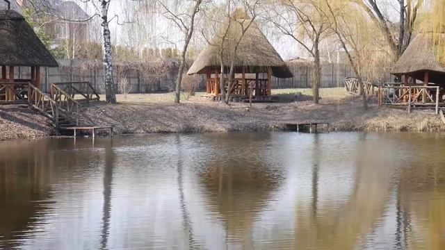 Мидии на теппане смотреть онлайн