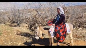 Donkey Riding with a Heavy Woman – Strength Test