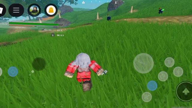 Начало игры. Sword Blox Online. Roblox.