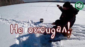 РЫБАЛКА ЗА ОСТРОВОМ, НЕ ОЖИДАЛ ТАКОЙ ПОКЛЁВКИ! СЮРПРИЗЫ ПОГОДЫ, С ЮМОРОМ НА ЛЬДУ, ЛОВИМ НА УРАЛЕ!