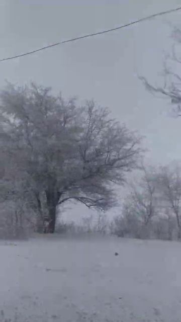 #зима #кок-жангак #кок-янгак #красота #популярное #киргизия смотреть онлайн