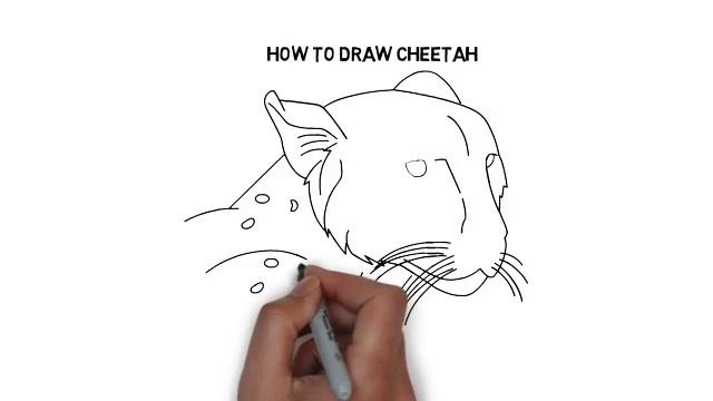 How to draw a CHEETAH смотреть онлайн