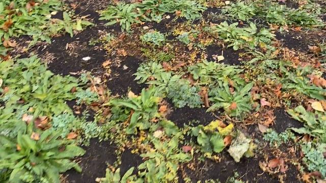 Поджог деревни ! смотреть онлайн