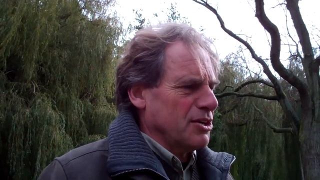 DOMMELSE KRACHT, POTENTILLA ONDER BOMEN смотреть онлайн