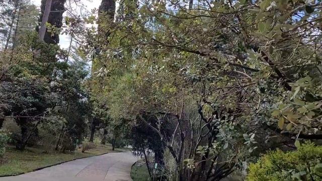 ЧЕТЫРЕ ДНЯ ЛЕТА В ФЕВРАЛЕ!✈️🌊