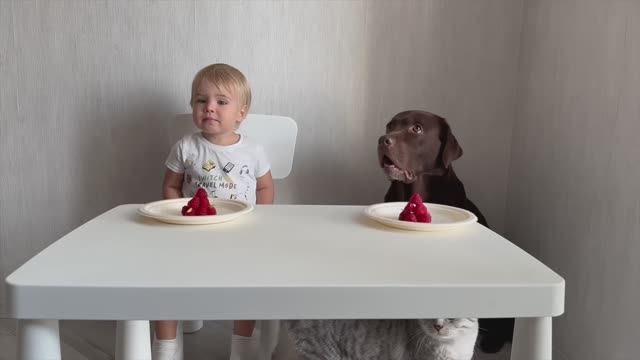 Детские Вайны Короткие смешные видео с малышами Baby Vines смотреть онлайн